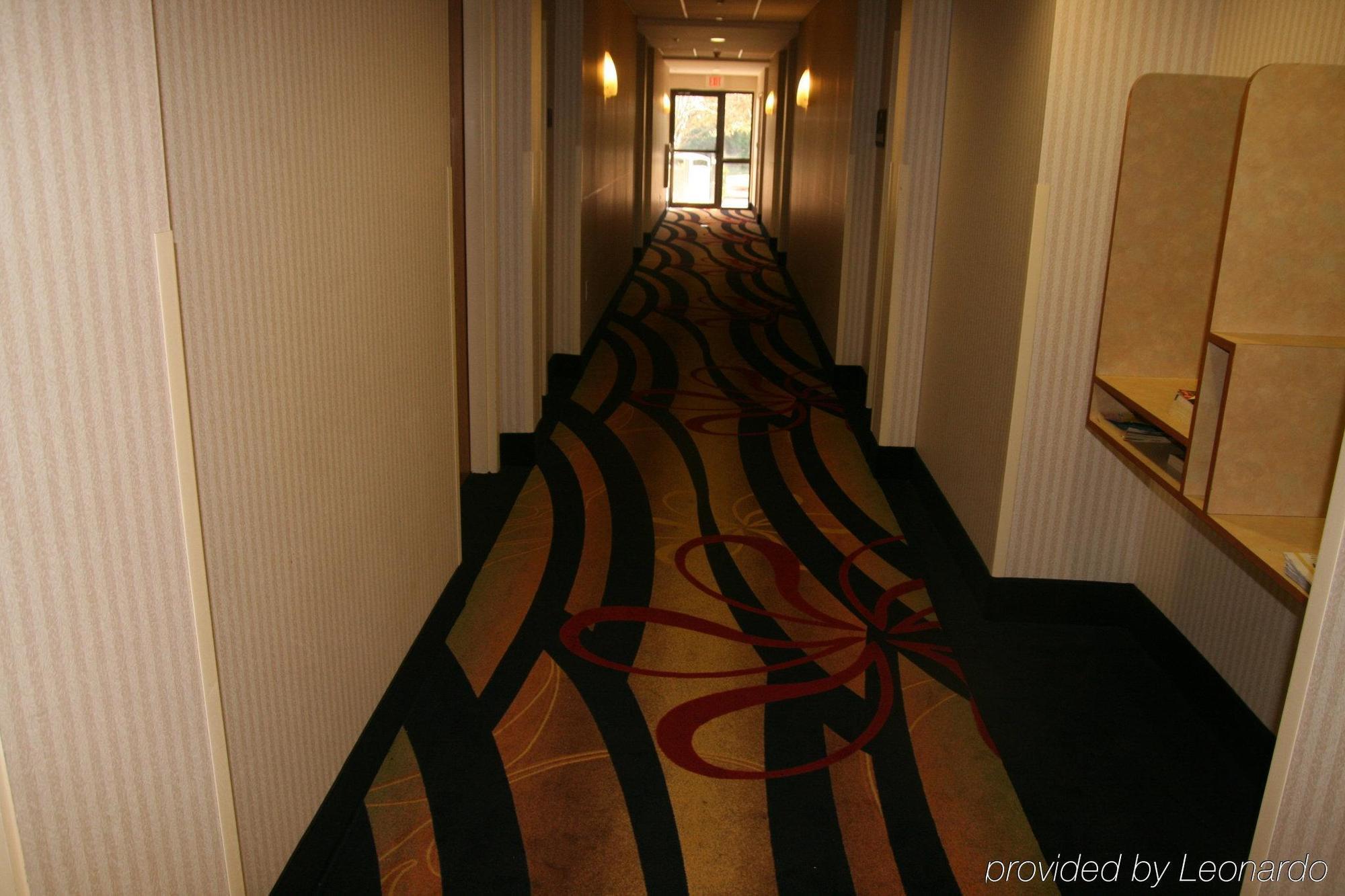 Holiday Inn Express Hotel & Suites Tampa-Anderson Road-Veterans Exp By Ihg West Chase Interior foto